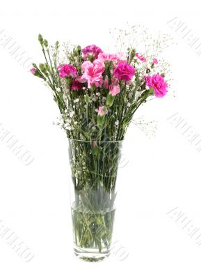 Vase of beautiful flowers
