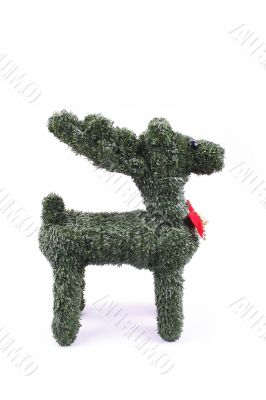 Reindeer