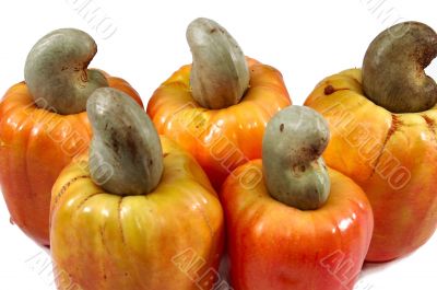 cashew