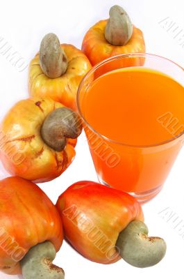 cashew