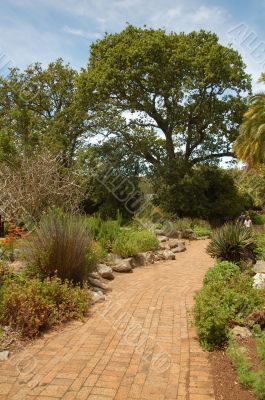 Kirstenbosch
