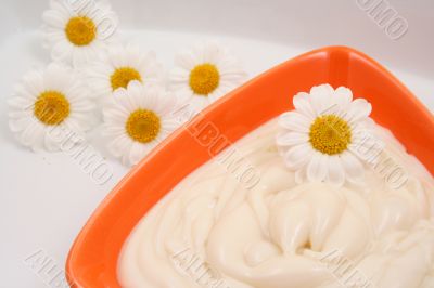 camomile cream