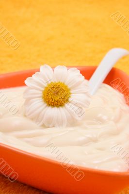 camomile cream