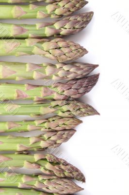 asparagus