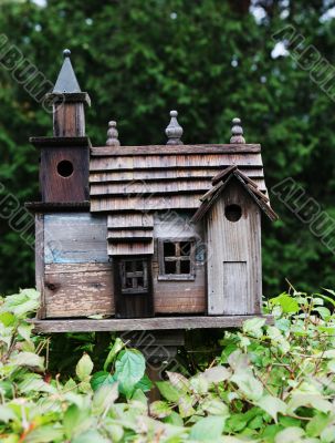 Bird box
