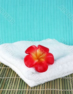 Fragapani flower candle