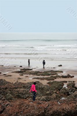 Beach landscape