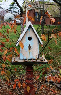 Bird box