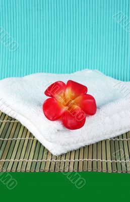 Fragapani flower candle