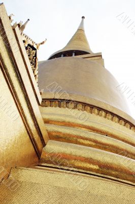 Gold glory.
