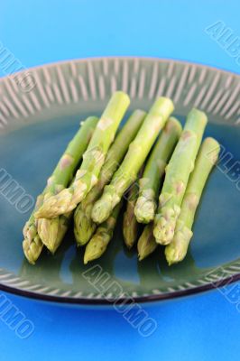 Fresh asparagus shoots on a plate
