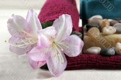 Spa products close-up