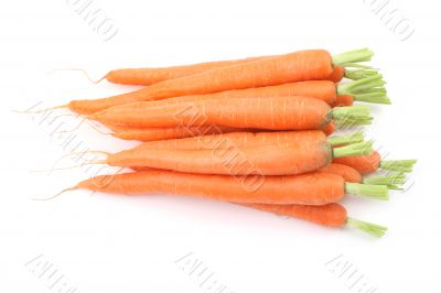 fresh carrots