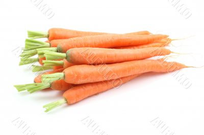 fresh carrots