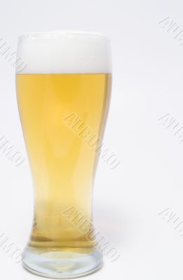 A pilsner glass of ice cold beer.