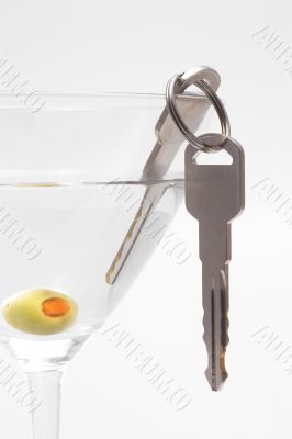 Car Keys in Martini