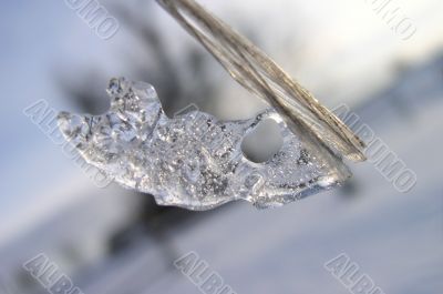 A Piece of Ice