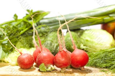garden radish