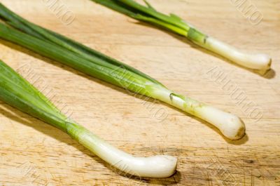 spring onions