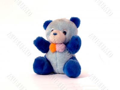plush bear
