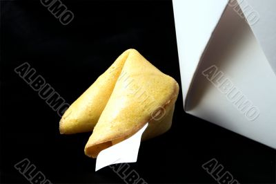 fortune cookie