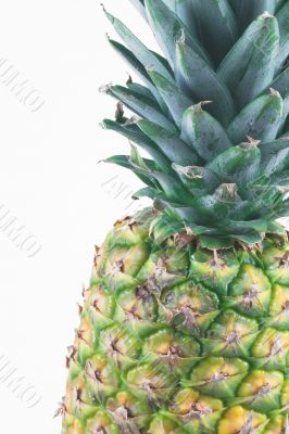 pineapple