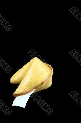 fortune cookie