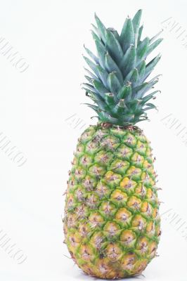 pineapple