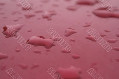 wet car paint