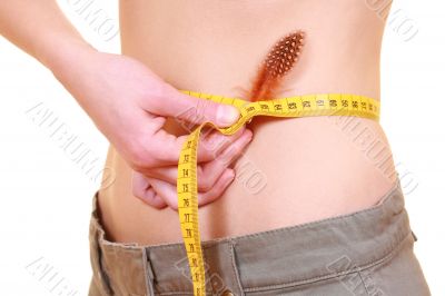 perfect body - on diet