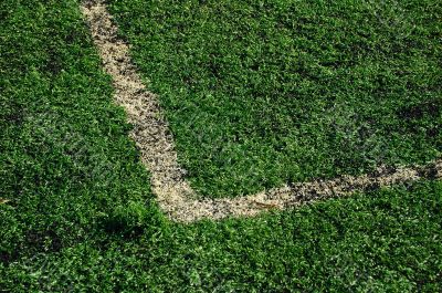Field
