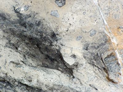Marble