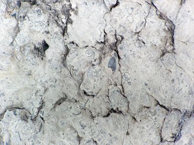 Marble