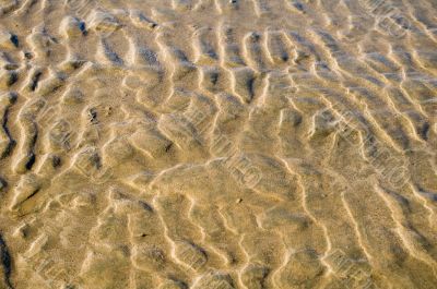 Texture