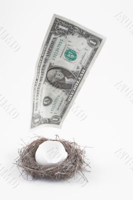 nest egg