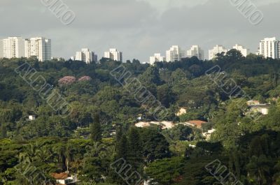 Sao Paulo