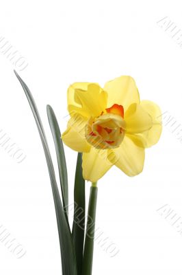spring time!