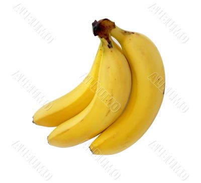 Bananas