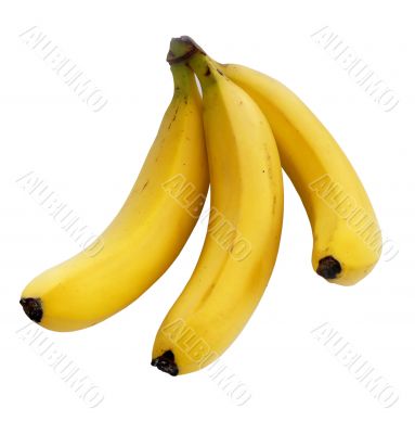Bananas