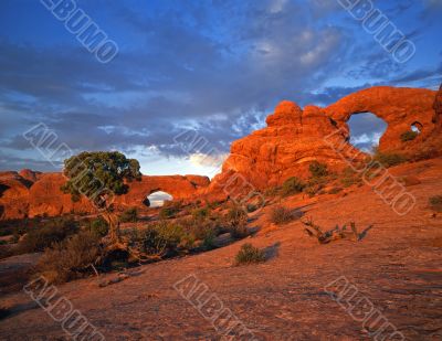 North Window & Turret Arch
