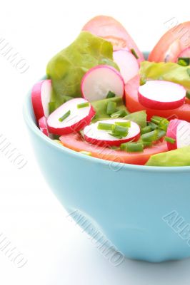 bowl of salad