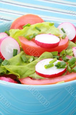bowl of salad