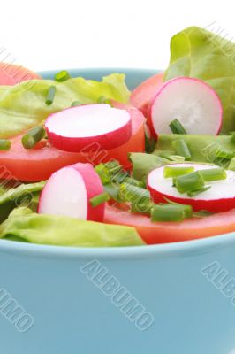 bowl of salad