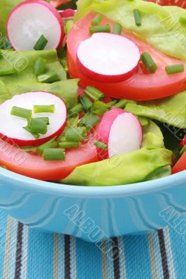 bowl of salad