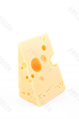 cheese