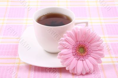 cup of tea