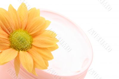 face cream