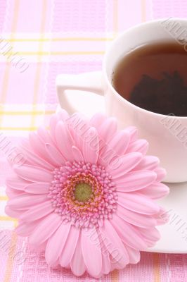 cup of tea