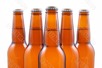five bottles of beer isolated on white