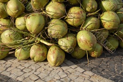 Coconut